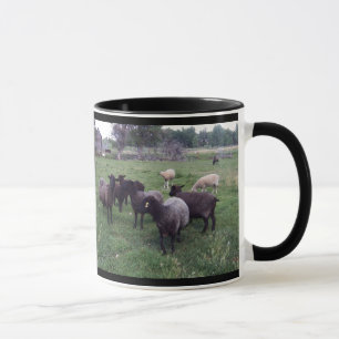 Tasse Mouton noir