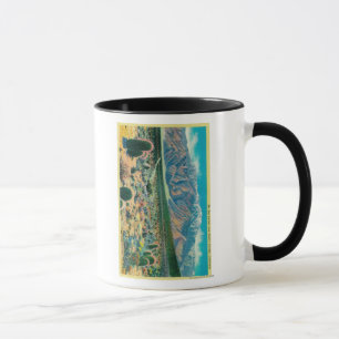 Tasse Mt. San Jacinto du jardin du diable