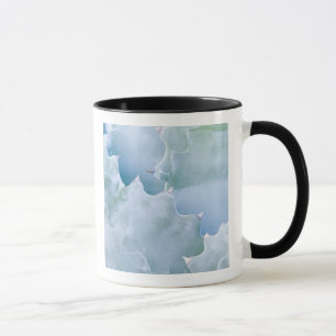 Tasse N.A., États-Unis, Arizona, Tucson, désert de Sonor
