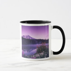 Tasse N.A., États-Unis, Washington, Mt. Rainier National