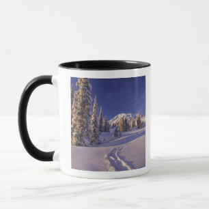 Tasse NA, États-Unis, Washington, Mt. Rainier NP, raquet