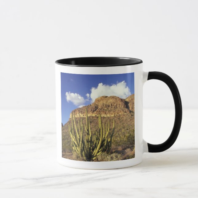Tasse NA, USA, Arizona. Orgue Pipe Cactus National 3 (Droite)