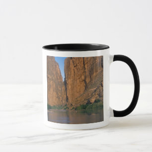 Tasse NA, USA, Texas, Big Bend National Park.Rio