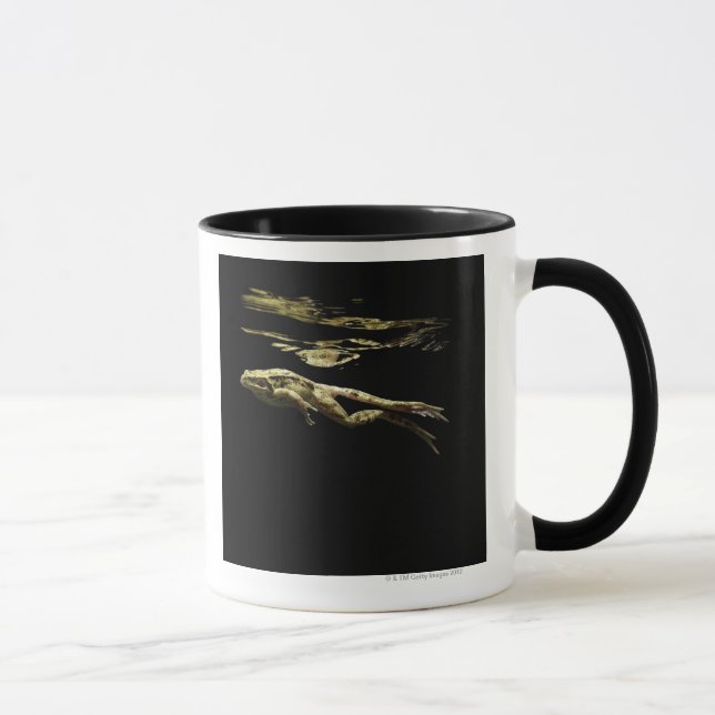 Tasse natation de grenouille dans l'obscurité juste (Droite)