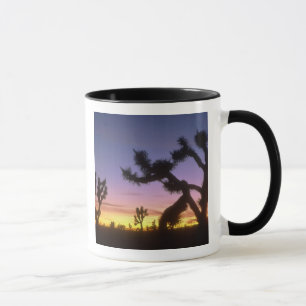 Tasse NEVADA. ÉTATS-UNIS. Yuccas arbres de Josué (Yucca 