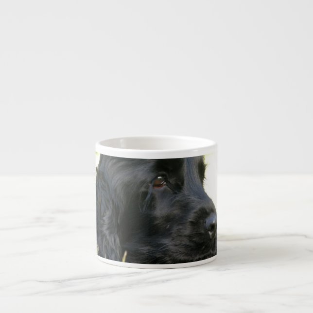 Tasse noire de spécialité de chien de cocker (Devant)