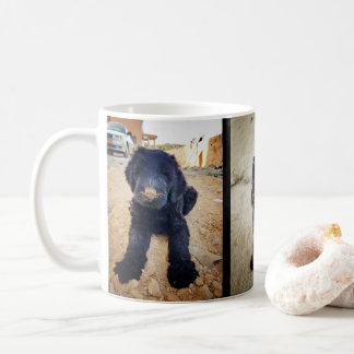 Tasse noire de Terrier de Russe