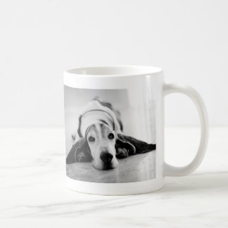 Tasse noire et blanche de Basset Hound