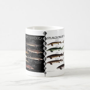 Tasse nord-américaine d'affiches d'esturgeon