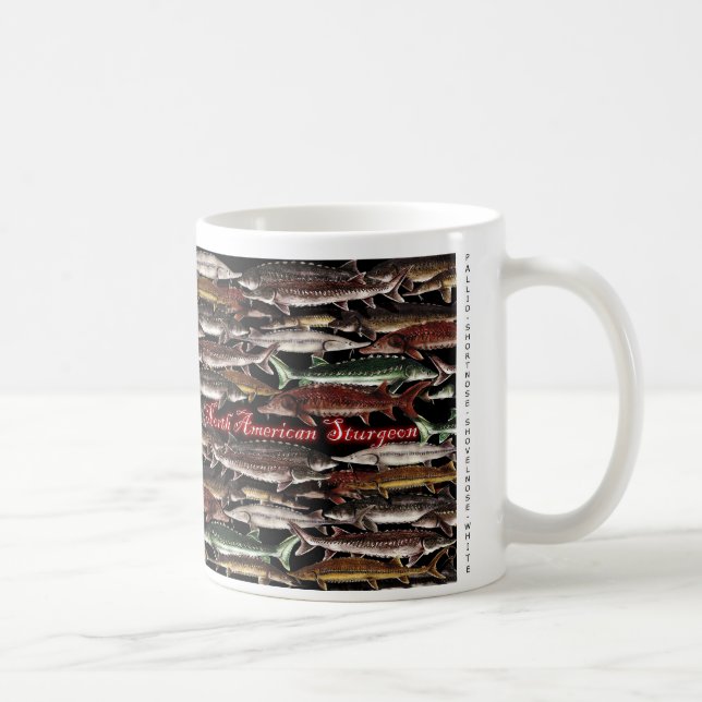 Tasse nord-américaine d'esturgeon (Droite)