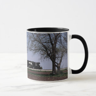 Tasse - Norfolk du sud chez Tolono