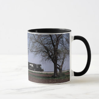 Tasse - Norfolk du sud chez Tolono