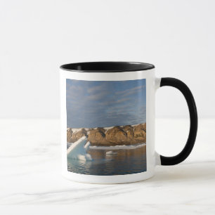 Tasse Norvège, Svalbard, île de Spitsbergen, Cadre