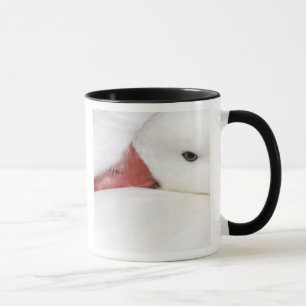 Tasse Oie des neiges Chen caerulescens