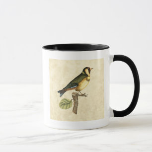 Tasse Oiseau jaune et vert perché sur une petite branche