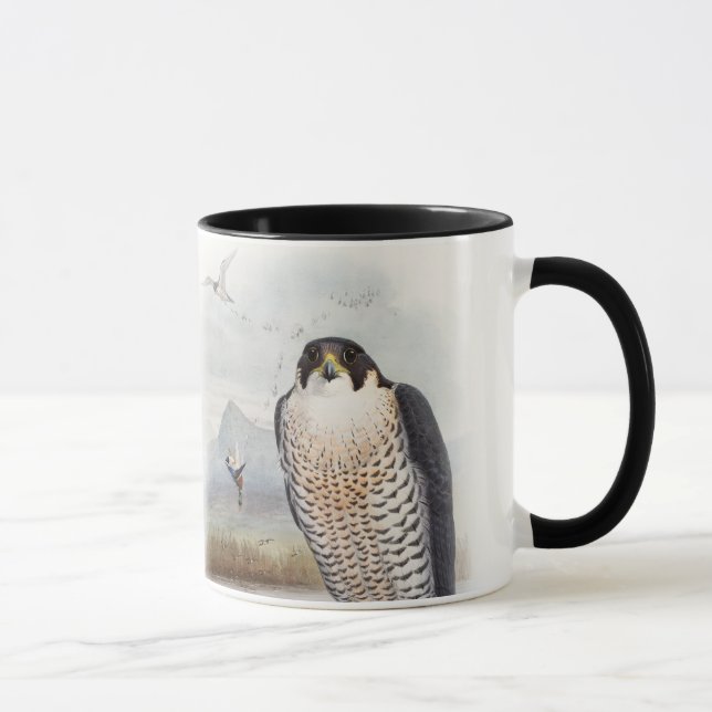 Tasse Oiseaux de John Gould de faucon pérégrin de la (Droite)