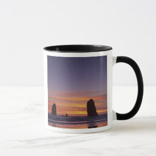 Tasse OR, côte de l'Oregon, Cannon Beach, piles de mer à