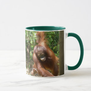Tasse Orangutan sauve les grands singes