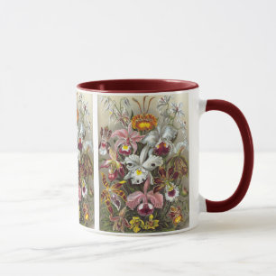 Tasse Orchidées Ernst Haeckel Fine Art