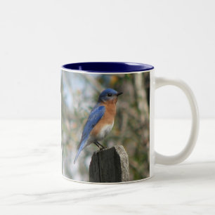 Tasse orientale de mâle d'oiseau bleu