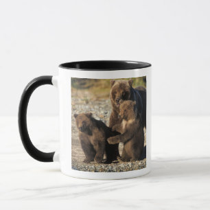 Tasse Ours brun, grizzly, truie avec ses oursons sur la