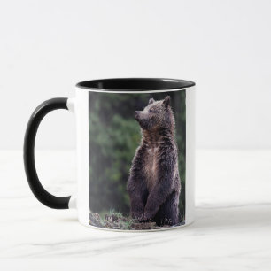 Tasse Ours gris debout