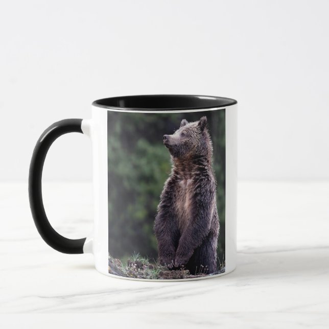 Tasse Ours gris debout (Gauche)