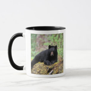 Tasse Ours noir sur une vieille bille de croissance dans