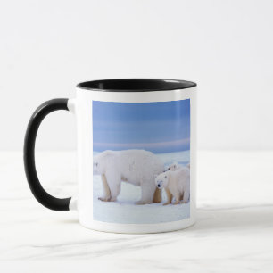 Tasse Ours polaire femelle avec des oursons