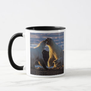 Tasse Ours polaires femelles avec ourson sur le côté, 10