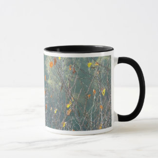 TASSE P1110236, P1110236