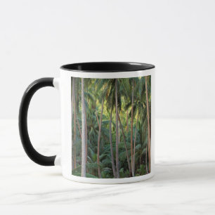 Tasse Pacifique Sud, Polynésie française, Bora Bora.