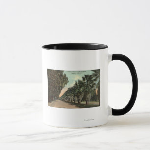 Tasse Palmiers et de poivre à côté d'avenue