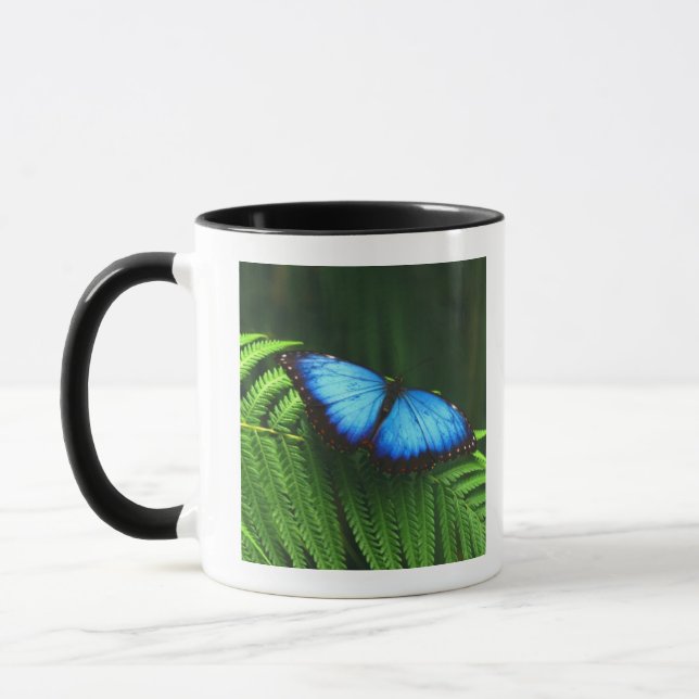 Tasse papillon (Gauche)