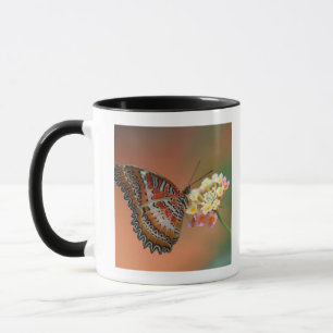 Tasse papillon 2