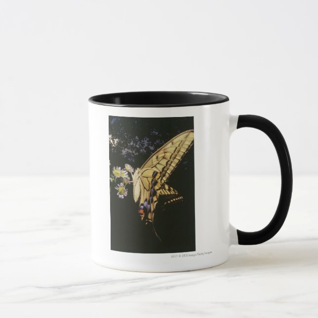 Tasse Papillon de machaon sur la fleur, fin (Droite)