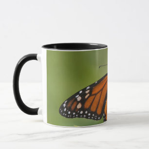 Tasse Papillon monarque mâle sur Asclépiade incarnate