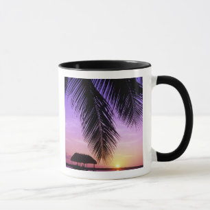 Tasse Parc d'État John Pennekamp, Florida Keys, Key