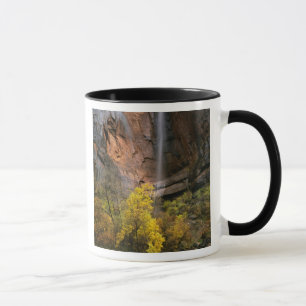 Tasse Parc national de Zion, Utah.États-Unis Éphémèr