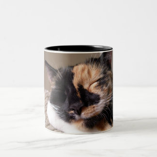 Tasse paresseuse de chat