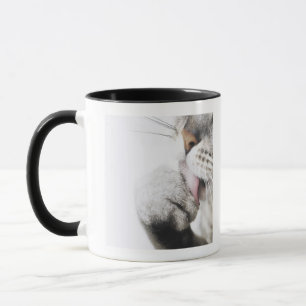 Tasse Patte de nettoyage de chat