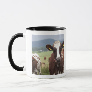 Tasse Pâturage des vaches