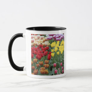 Tasse Pays-Bas, Jardins de Keukenhoff, tulipes.