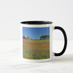 Tasse Pays de colline du Texas, le Texas, pinceau du