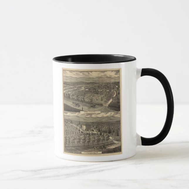 Tasse Pépinière de renards, res, verger (Droite)