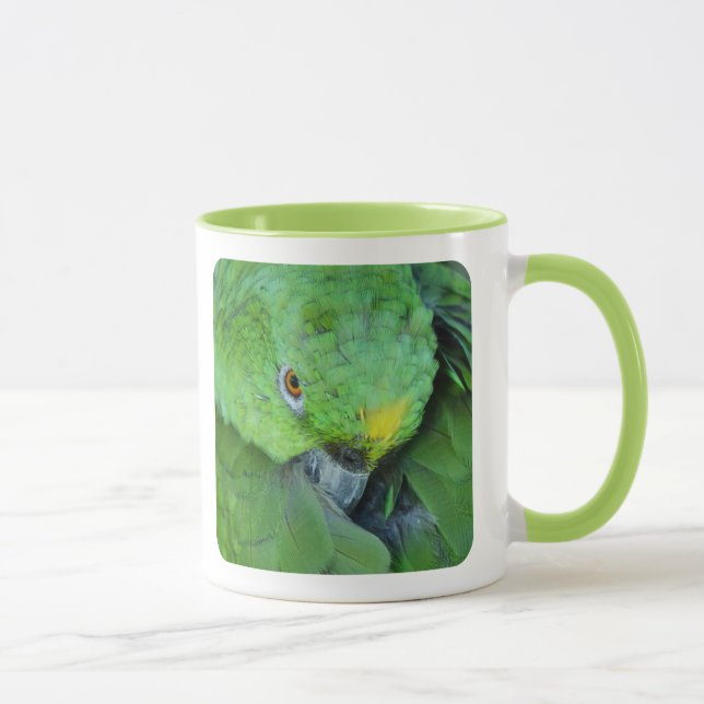 Tasse Perroquet vert d'Amazone (Droite)