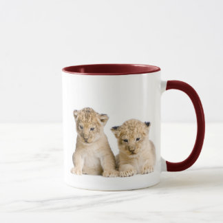 Tasse Petit lion CUB mignon