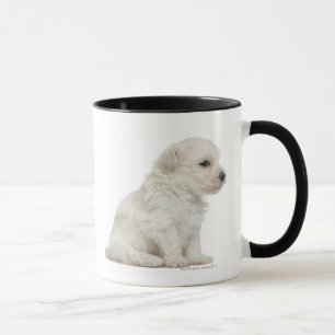 Tasse Petit lion de chien ou petit chiot de chien de