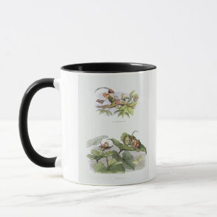 Tasse Petite birdie pauvre taquinée, et cour abrégée