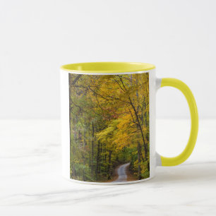 Tasse Petite Route De Gravier Bordée De Couleur D'Automn